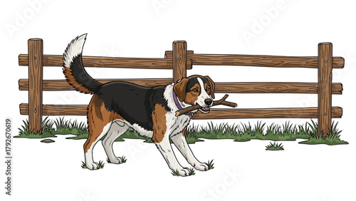 A tricolor dog holds a stick in its mouth by a wooden fence