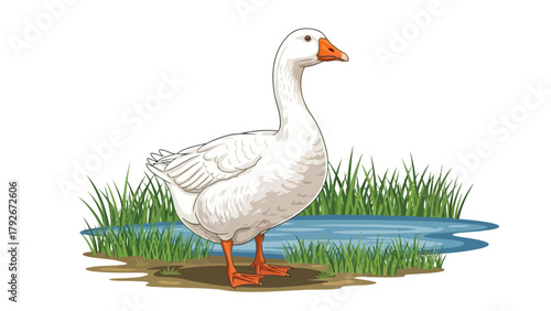 A white goose stands on the grassy bank of a blue pond