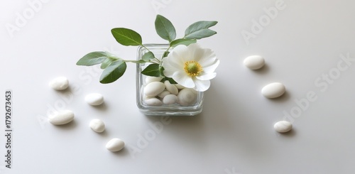Flat lay small glass vase white flower it Wintertime eucalyptus
