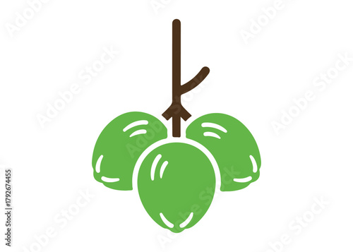 a group of dangling coconut logo vector icon design illustration template

