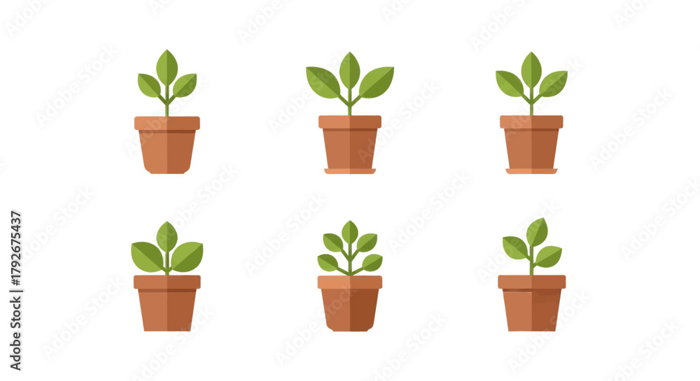Fototapeta premium Six small green plants growing in simple terracotta pots on a white background