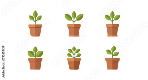 Six small green plants growing in simple terracotta pots on a white background