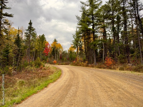 country dirt road in autumn