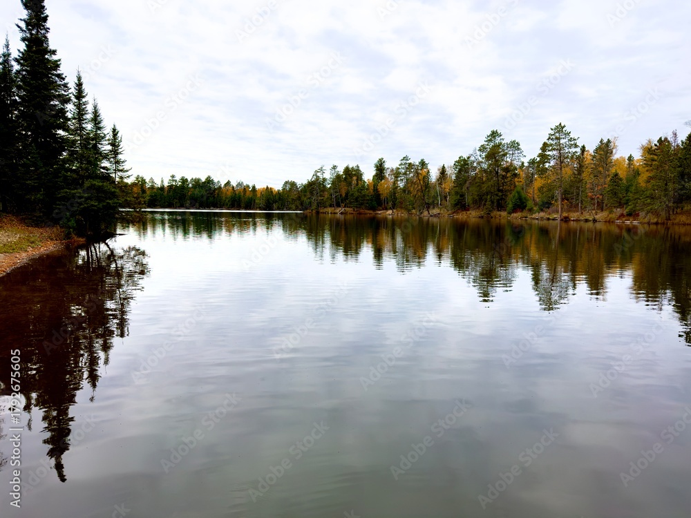 Obraz premium reflection of trees in water