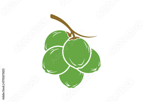 A series of dangling coconut logo vector icons, illustrated as a template design.
