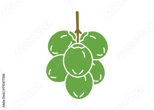 a group of suspended coconut logo vector icon design illustration template
