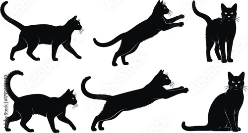 Collection of Black Cat Silhouettes Vector Set Showing Different Poses: Walking, Running, Jumping, Hunting, Standing, and Sitting Feline Animals
