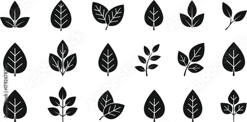 Large Vector Black Silhouette Icon Set of Leaves: Diverse Collection of Simple and Stylized Organic Elements for Nature, Eco, and Growth Designs.