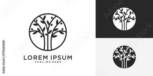 Tree logo, olive oil tree vector icon