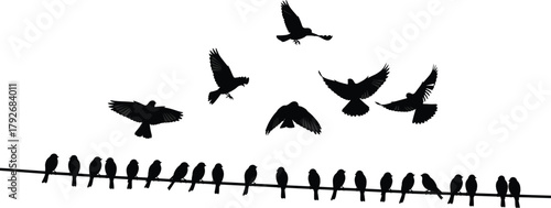 Bird silhouette vector set, perched and flying poses, black icon illustration, nature scene, wire composition, minimal wildlife design