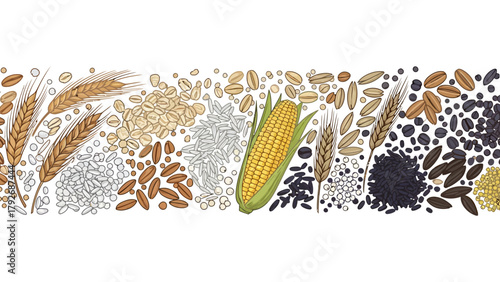 Border of various grains and corn