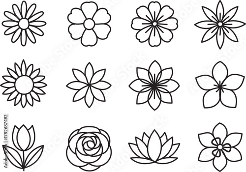 Hand Drawn Minimalist Botanical Line Art Icons Collection of Floral Outlines for Modern Design