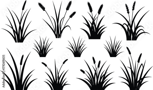 Set of grass silhouette vector icons with seed heads, natural plant design, landscaping, botanical illustration, gardening, nature, black art.