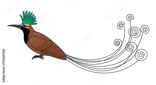 Exotic bird of paradise with ornate tail.