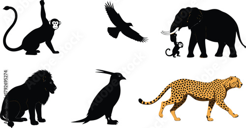 Animal silhouettes and colorful wildlife illustrations, monkey, bird, elephant, lion, cheetah, jungle animals, nature art, educational, vector design