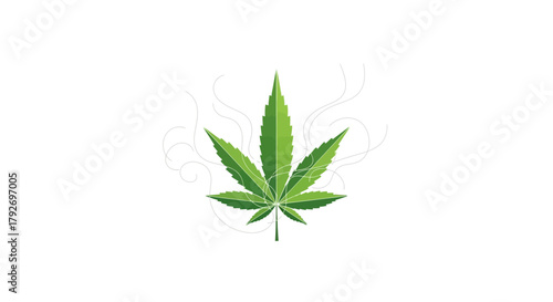 Isolated cannabis leaf on white background.