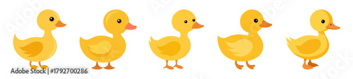 Five adorable yellow ducklings posed together on
