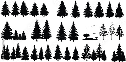 Conifer tree silhouettes, forest landscape, pine, fir, spruce, hill scene, birds flying, nature vector, black graphic elements