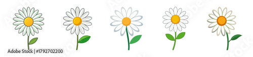 Simple daisy flowers on a with green leaves