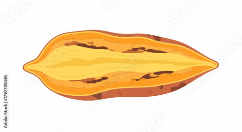 Sliced Sweet Potato Isolated On White Background Flat Vector