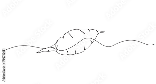 Continuous Line Drawing of Sweet Potatoes,Sweet Potato Vegetable continuous single line art drawing vector illustration,
