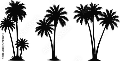 Palm tree silhouettes, tropical design, black vector, nature icons, beach vibe, exotic foliage, summer art, landscape element, botanical graphic