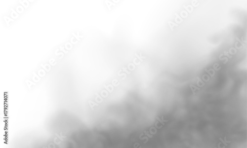 A flowing fog ribbon glides across the dark scene. The light haze diffuses softly around its curves. It forms a calm and mysterious ambiance. PNG
