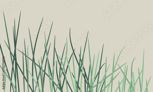 Illustration of green grasses. Lemongrass 
