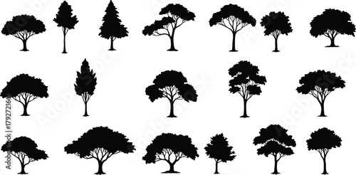 Tree silhouettes, botanical illustration, black vector, nature icons, diverse canopy, trunk shapes, forest design, landscape art, minimal style, graphic set