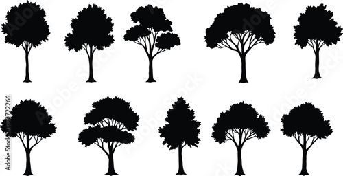 Tree silhouettes, botanical shapes, black illustration, nature icons, diverse canopy, trunk forms, landscape design, minimal style, vector trees, graphic set