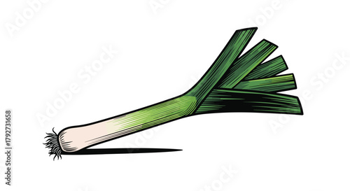A fresh and healthy whole leek, featuring its white root and green stalk, rendered in a detailed, clean illustrative style against a bright white background.