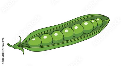 An illustration of a fresh, bright green pea pod, split open to display its row of seven round peas on a white background.