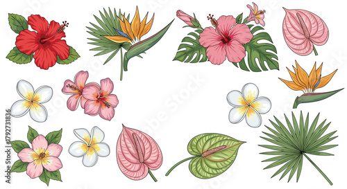 Colorful hand-drawn tropical flowers and exotic leaves collection, featuring hibiscus, plumeria, bird of paradise, and anthurium.