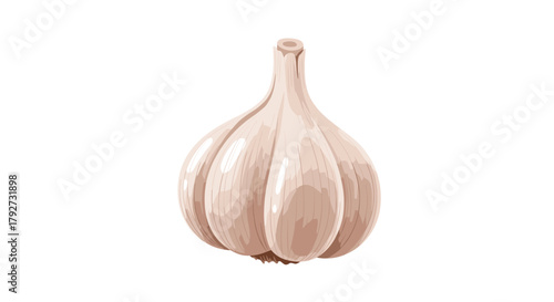 A fresh, healthy garlic bulb, a popular and aromatic kitchen ingredient essential for various culinary dishes, illustrated on white.