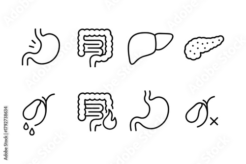 Minimalist line icons of digestive system organs for medical design projects