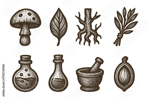 Vintage botanical elements and apothecary set in engraved style for nature-themed designs