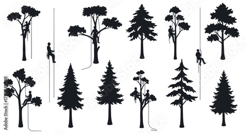 Tree climber silhouettes with diverse tree shapes for nature and outdoor activities