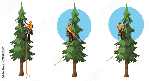 Tree climber with chainsaw professional arborist at work on tall pines