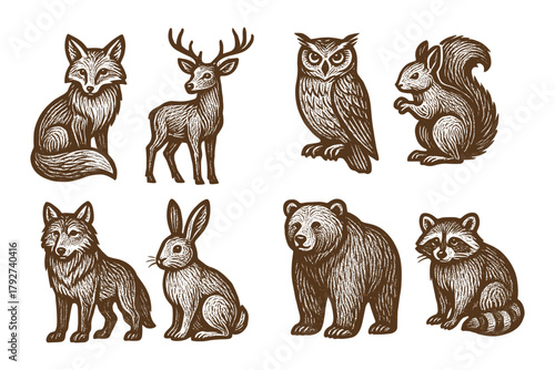Vintage forest animals collection: engraved wildlife art set