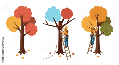 Arborist pruning autumn trees safety and maintenance in seasonal colors
