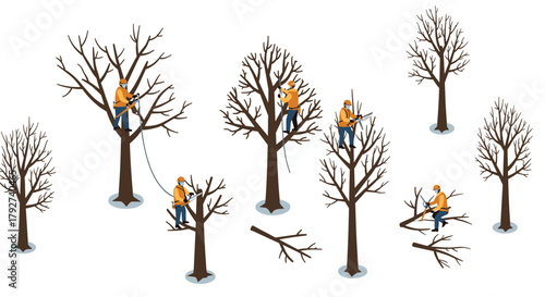Isometric arborists pruning trees during winter season