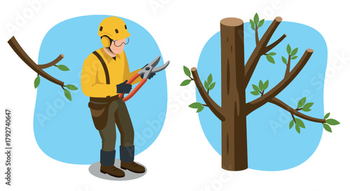 Gardener pruning tree branches with shears in safety gear
