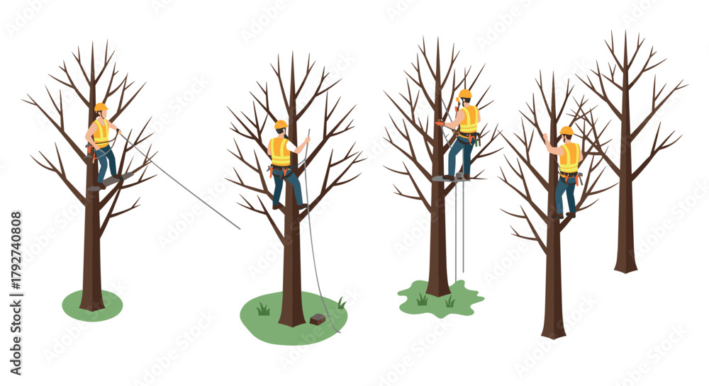 Obraz premium Tree climbing arborists in action professional tree maintenance and pruning