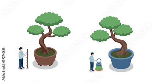 Isometric bonsai care measuring and watering techniques for perfect growth