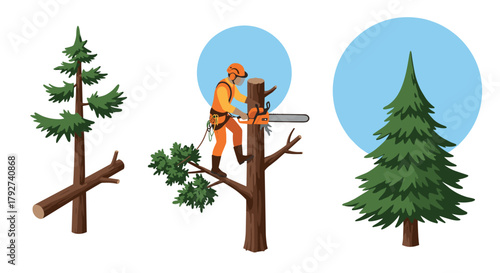 Tree pruning process with lumberjack using chainsaw in forest setting