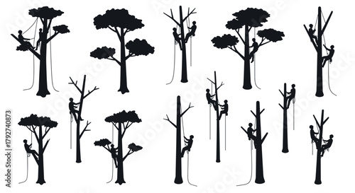 Silhouette of tree climbers pruning branches in various tree designs
