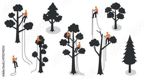 Isometric arborists climbing trees in outdoor landscape scene
