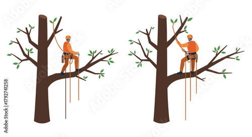 Arborist climbing trees with safety gear in flat style