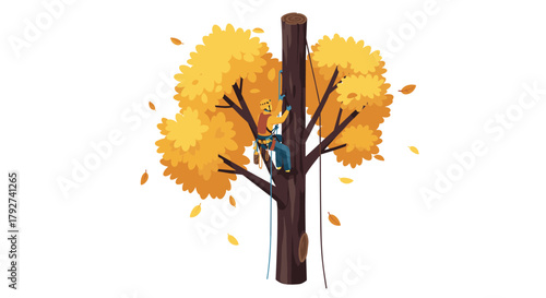 Arborist climbing autumn tree for maintenance with safety gear