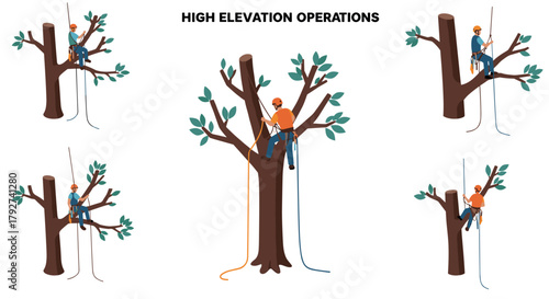 Tree climbing techniques professional arborist illustrations in action